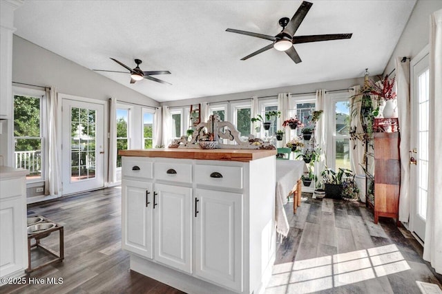 103 Roundtree Ln, Goldsboro, NC 27530 - sunroom / solarium featuring vaulted ceiling