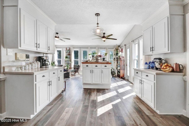 103 Roundtree Ln, Goldsboro, NC 27530 - kitchen with ceiling fan, light countertops, white cabinetry, light wood finished floors, and a textured ceiling