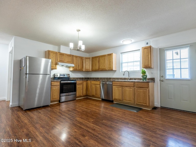 kitchen with a sink, under cabinet range hood, dark wood-type flooring, and stainless steel appliances