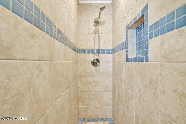 details with tiled shower
