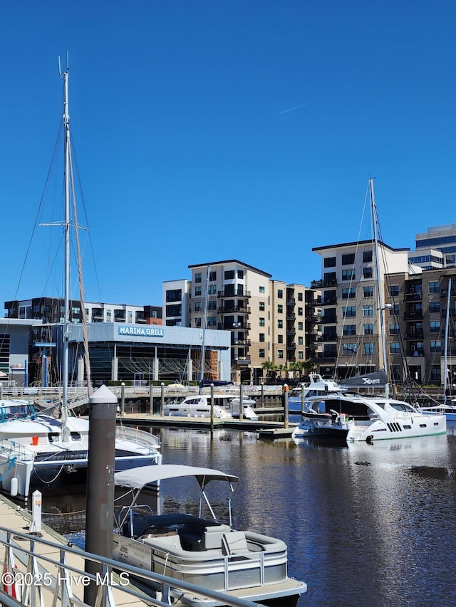 dock area with a water view