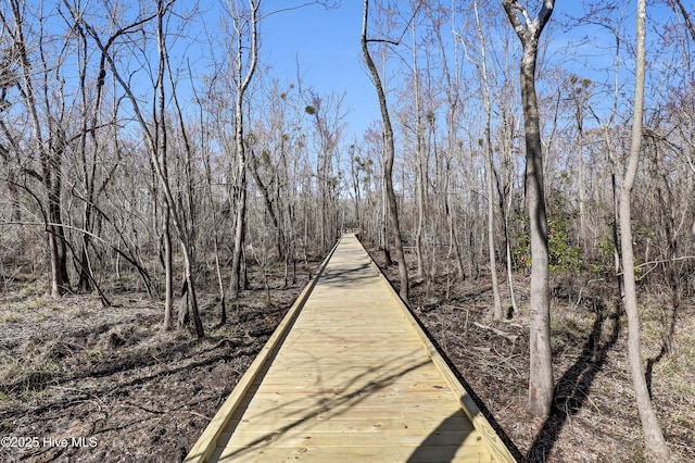 152 Talbert Dr, Rocky Point, NC 28457 - view of surrounding community