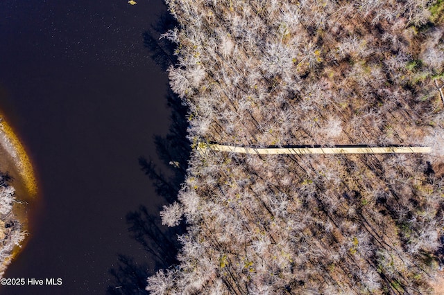 152 Talbert Dr, Rocky Point, NC 28457 - birds eye view of property