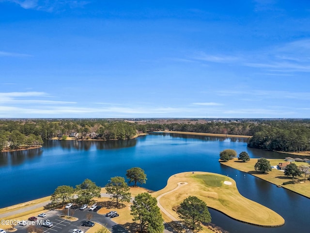 aerial view featuring a water view and a forest view