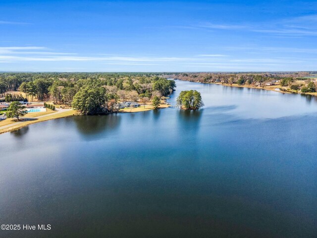 birds eye view of property with a wooded view and a water view