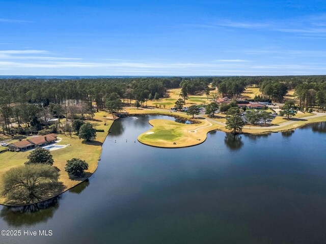 birds eye view of property with a water view and a wooded view