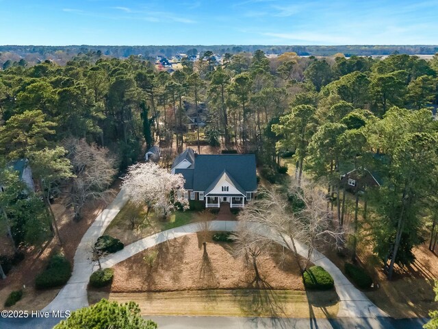 drone / aerial view