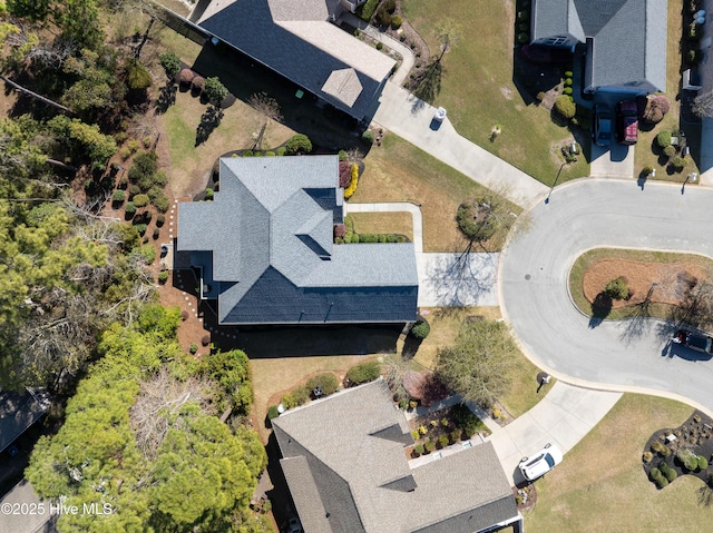 bird's eye view