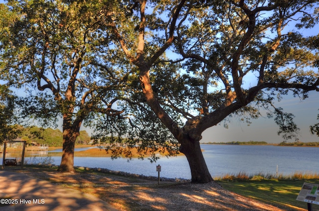 10170 Beach Dr SW Unit 305, Calabash, NC 28467 - water view