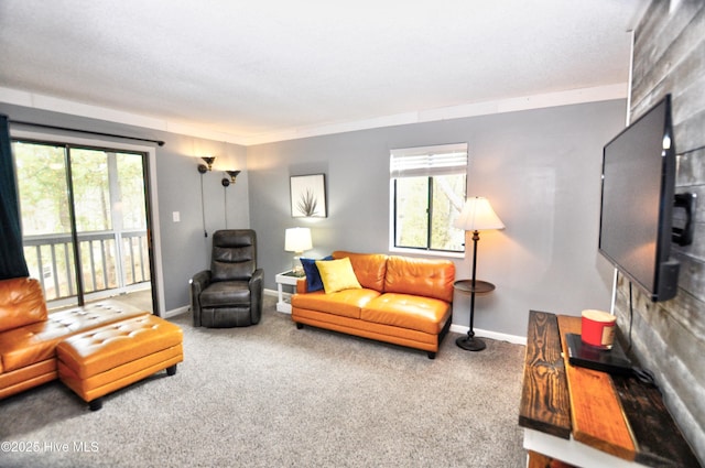 10170 Beach Dr SW Unit 305, Calabash, NC 28467 - carpeted living room with plenty of natural light and baseboards