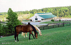 130 Gails Rd, West End, NC 27376 - view of stable