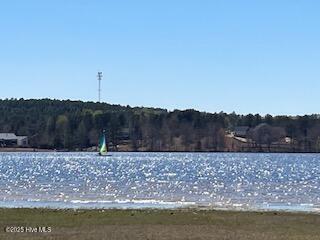 130 Gails Rd, West End, NC 27376 - water view with a heavily wooded area