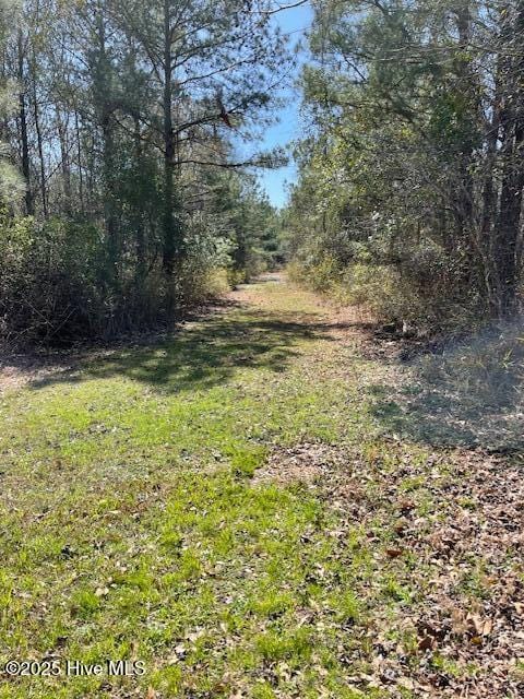206 Cotton Patch Ln Unit 6, Edenton, NC 27932
