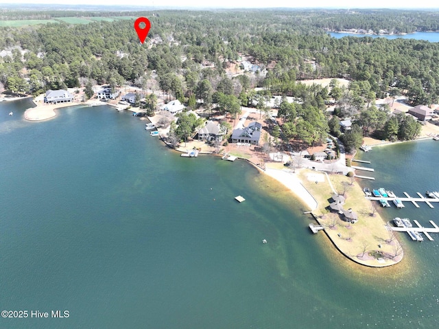aerial view with a water view and a view of trees