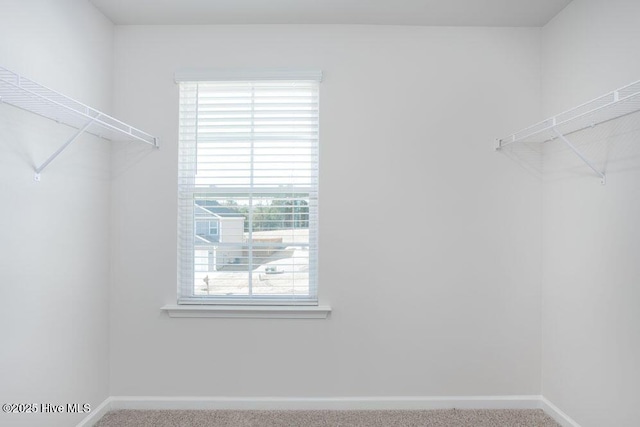 3806 Falcon Ct NW, Wilson, NC 27896 - walk in closet featuring carpet