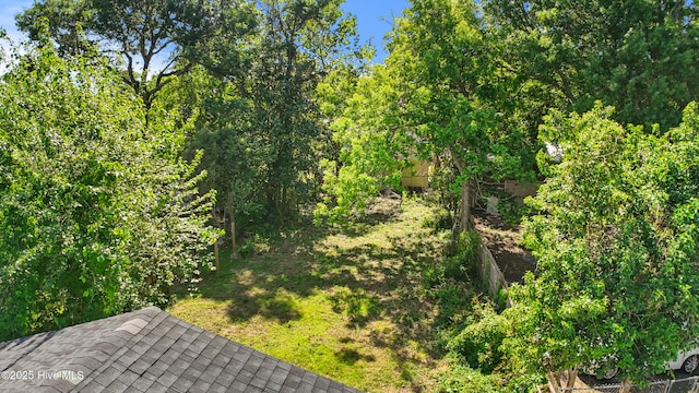 view of local wilderness