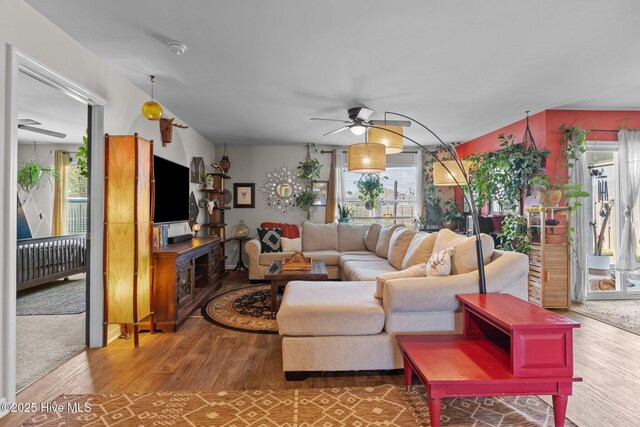 living area with a ceiling fan and wood finished floors