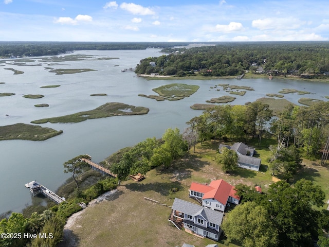 3582 Norman Dr SW, Supply, NC 28462 - aerial view of property and surrounding area with a nearby body of water and a heavily wooded area