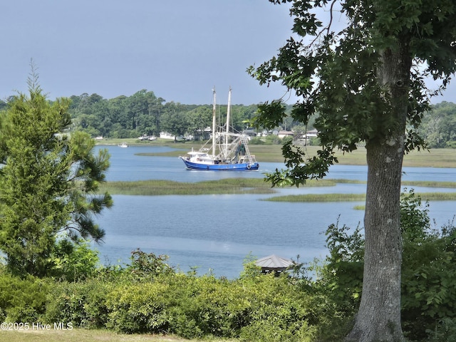 3582 Norman Dr SW, Supply, NC 28462 - water view