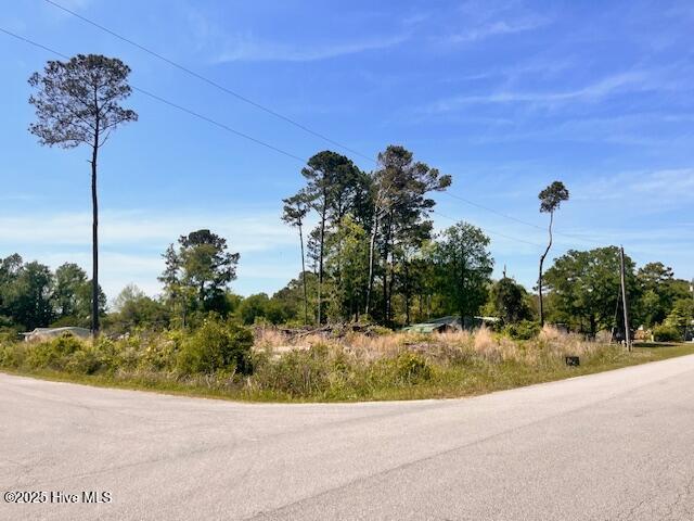 3741 Palm St SE, Bolivia NC, 28422 land for sale