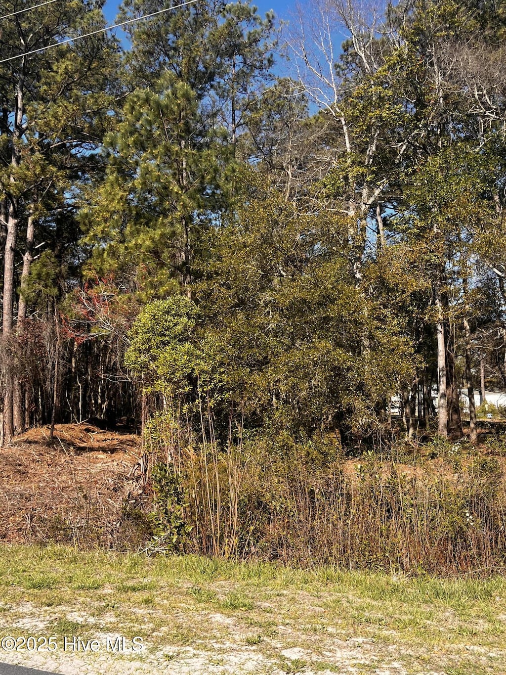 3723 Sunset Harbor Rd SE Unit 87, Bolivia, NC 28422