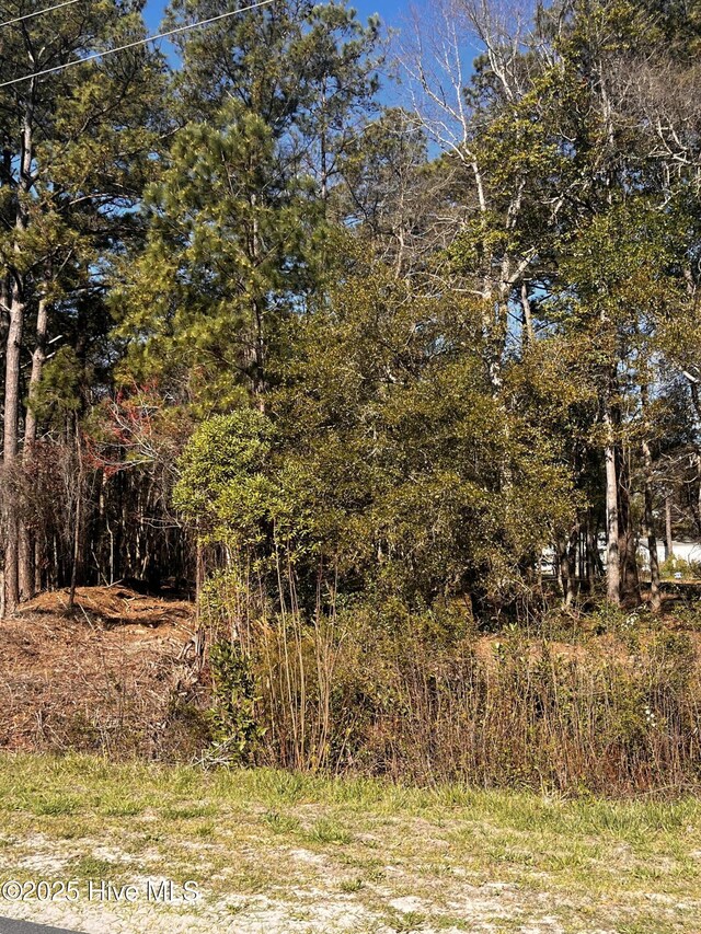 3723 Sunset Harbor Rd SE Unit 87, Bolivia, NC 28422