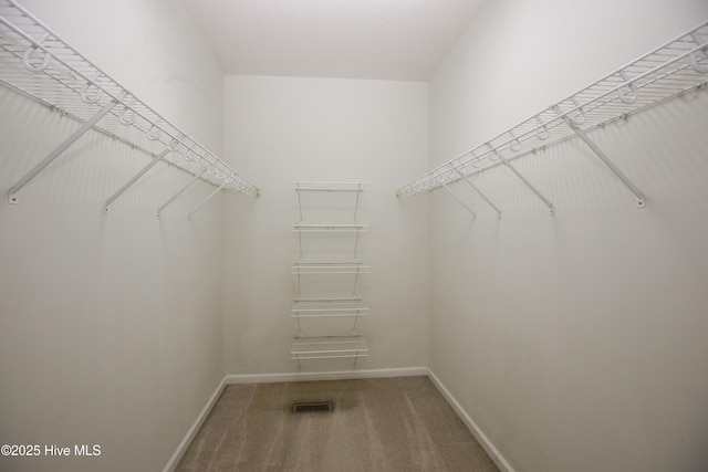 spacious closet featuring carpet and visible vents