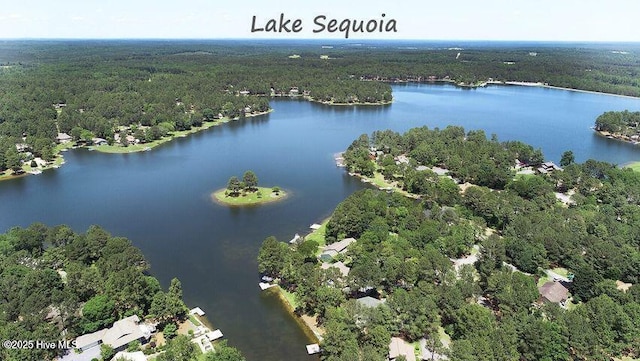 drone / aerial view with a wooded view and a water view
