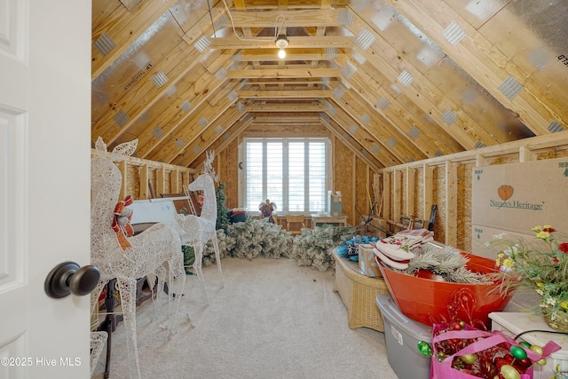 1381 Ellsworth Dr SW, Ocean Isle Beach, NC 28469 - view of attic