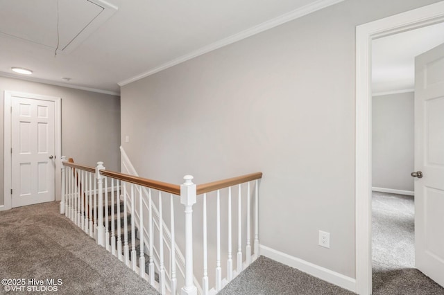 208 Elm St, Whiteville, NC 28472 - corridor featuring ornamental molding, carpet floors, an upstairs landing, and attic access