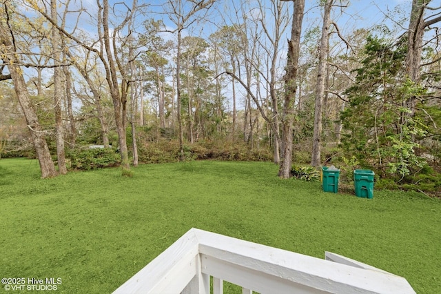 208 Elm St, Whiteville, NC 28472 - view of yard