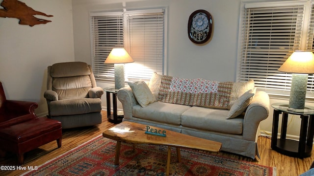 living area featuring wood finished floors