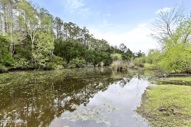 water view featuring a forest view