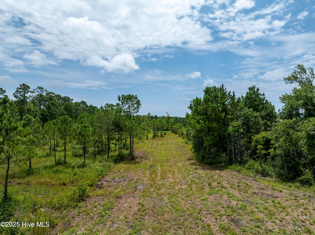 Tbd NC Highway 17, Holly Ridge, NC 28445