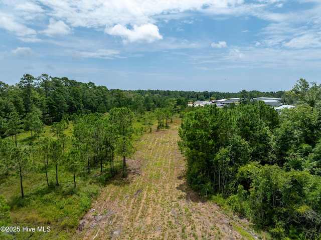 Tbd NC Highway 17, Holly Ridge, NC 28445