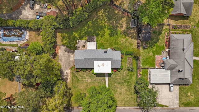 bird's eye view