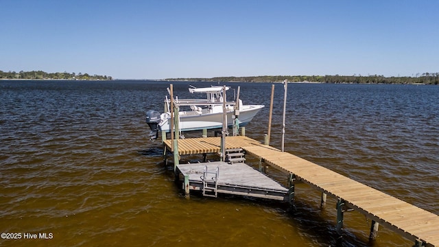 view of dock featuring boat lift and a water view