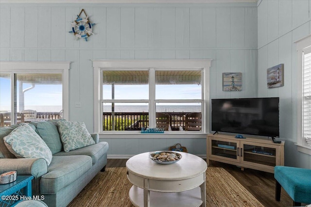 living room featuring plenty of natural light and wood finished floors