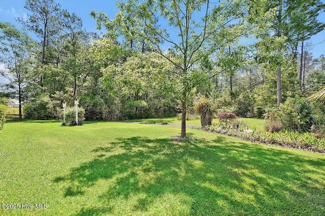 view of yard