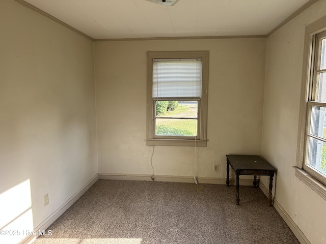 500 Rowan Rd, Clinton, NC 28328 - spare room featuring ornamental molding, carpet floors, and baseboards