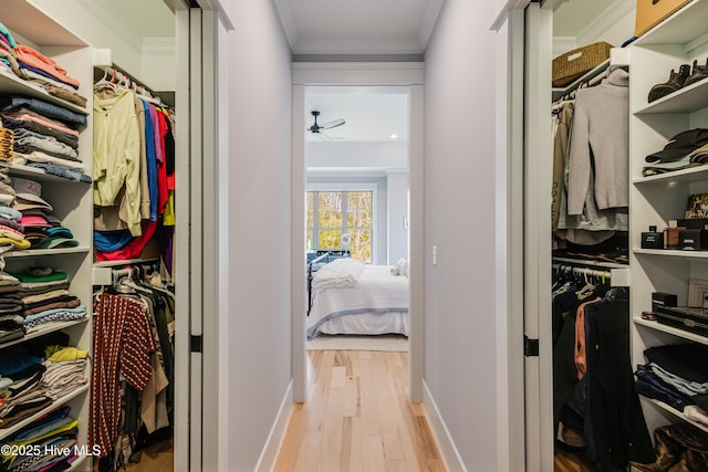 392 Blossom Tree Ln SE, Bolivia, NC 28422 - walk in closet featuring wood finished floors and a ceiling fan