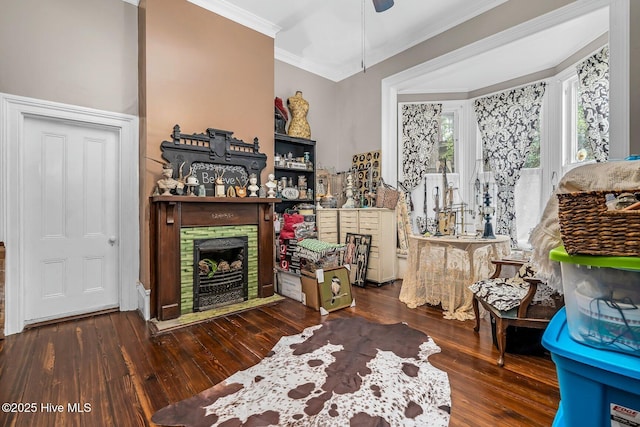 311 E Church St, Tarboro, NC 27886 - living area with crown molding, a stone fireplace, ceiling fan, and hardwood / wood-style floors
