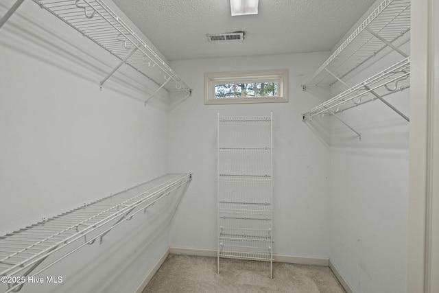 301 Derby Park Ave, New Bern, NC 28562 - spacious closet featuring visible vents and carpet floors