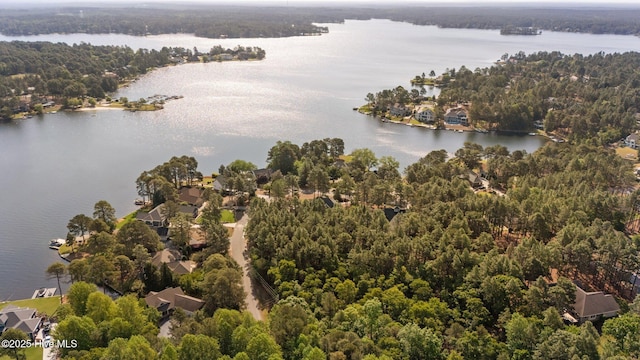aerial view featuring a water view and a view of trees
