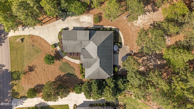 bird's eye view