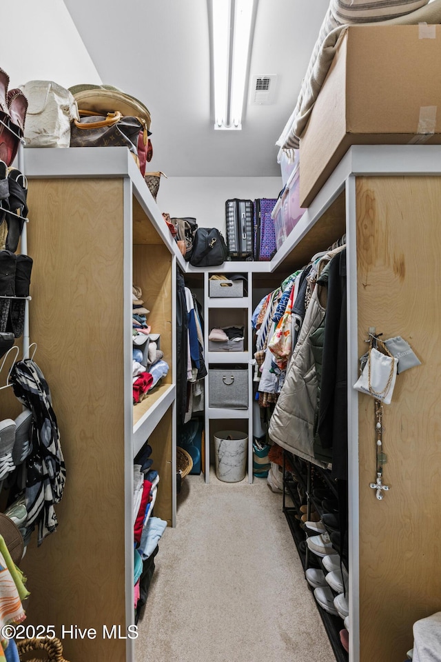5994 Gray Squirrel Path, Southport, NC 28461 - spacious closet with carpet flooring