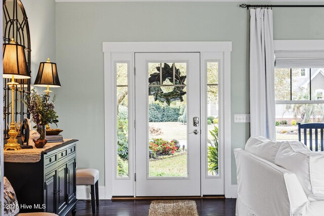 5994 Gray Squirrel Path, Southport, NC 28461 - doorway featuring plenty of natural light, dark wood finished floors, and baseboards