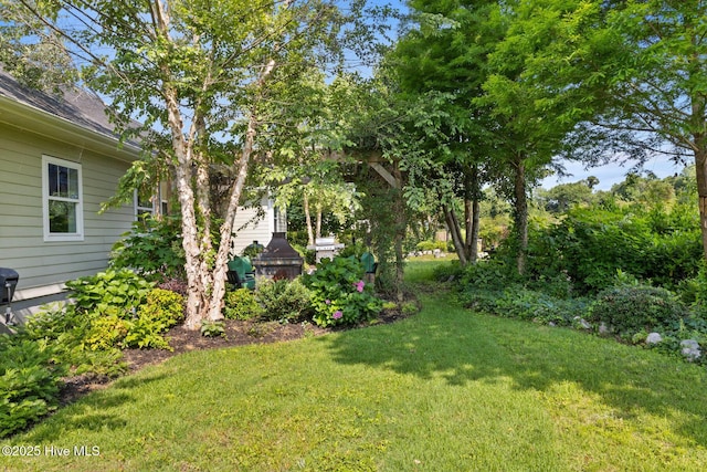 5994 Gray Squirrel Path, Southport, NC 28461 - view of green lawn
