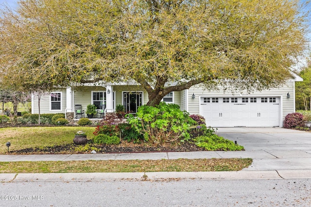 5994 Gray Squirrel Path, Southport, NC 28461 - view of property hidden behind natural elements with driveway and an attached garage