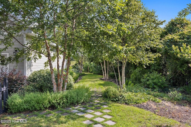 5994 Gray Squirrel Path, Southport, NC 28461 - view of grassy yard